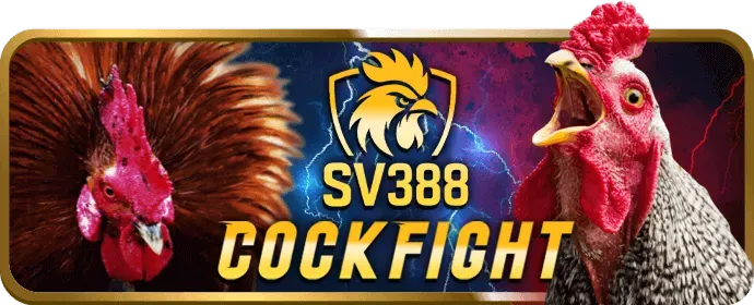 Điền thông tin đăng ký mv67